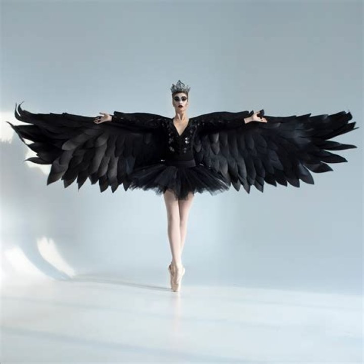 black swan wings